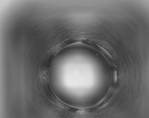 X0000059240425200510211607