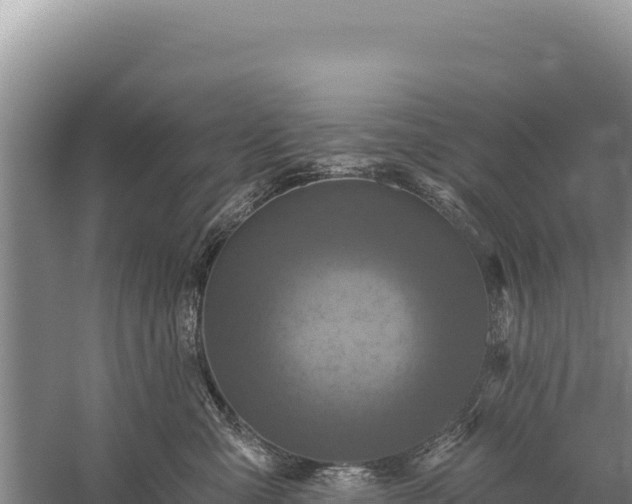 X0000059240427200510211607