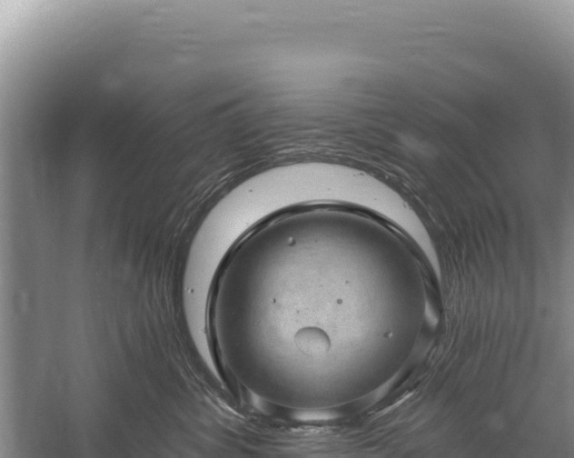 X0000059240428200510211607