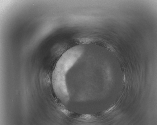 X0000059240431200510211607