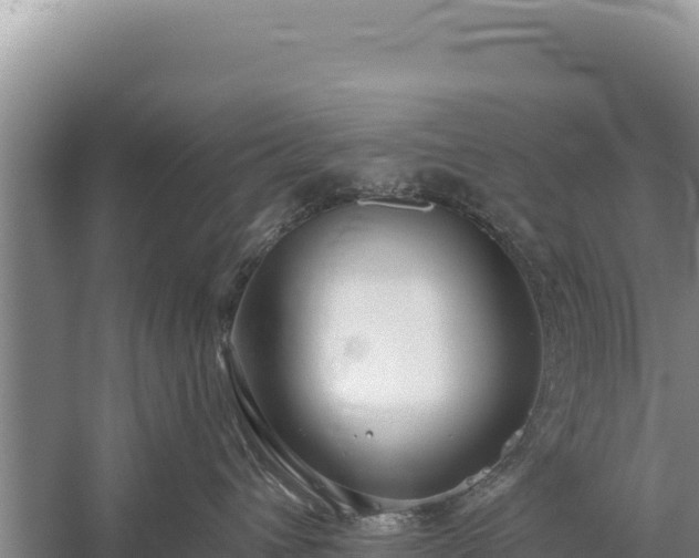 X0000059240432200510211607