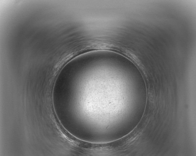 X0000059240433200510211606