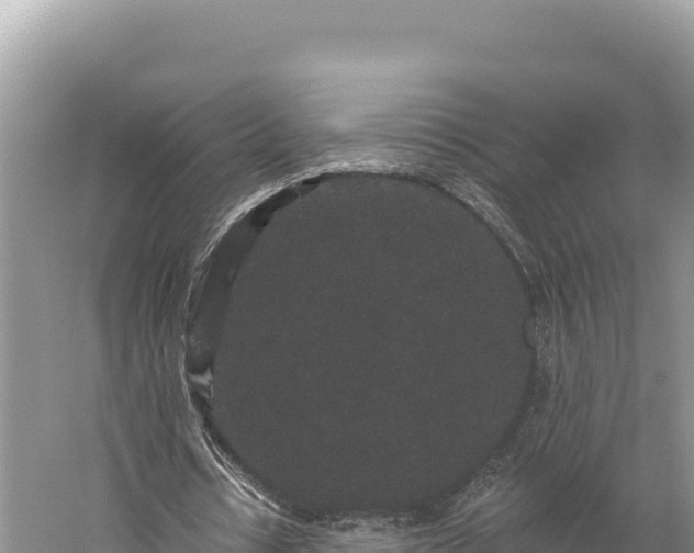 X0000059240434200510211606