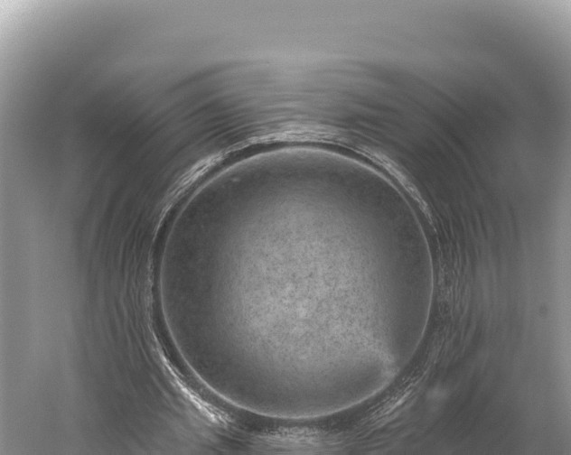 X0000059240437200510211606