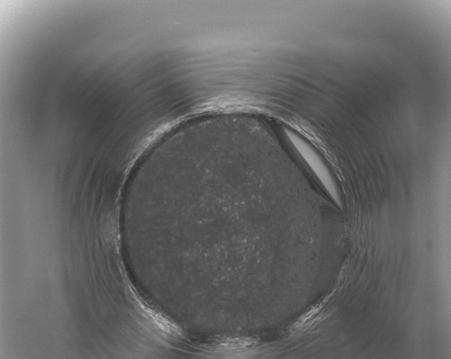 X0000059240438200510211606