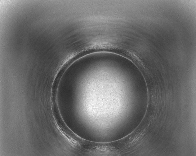 X0000059240439200510211606