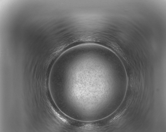 X0000059240441200510211606