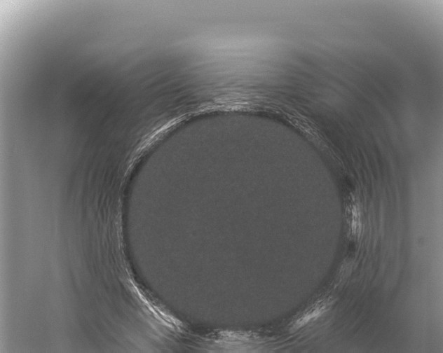 X0000059240442200510211606