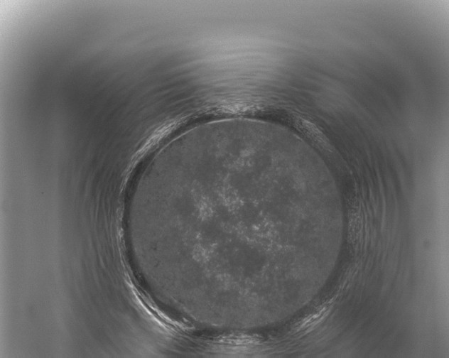 X0000059240443200510211606