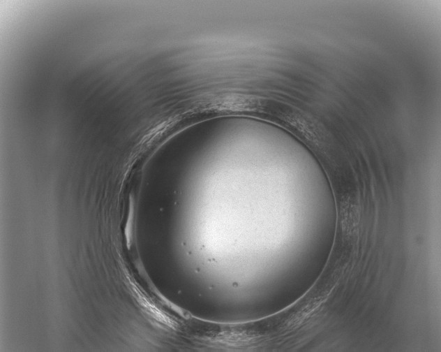 X0000059240445200510211606