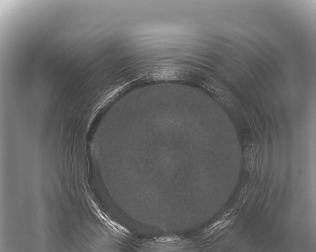 X0000059240446200510211606