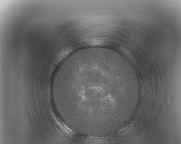 X0000059240447200510211606