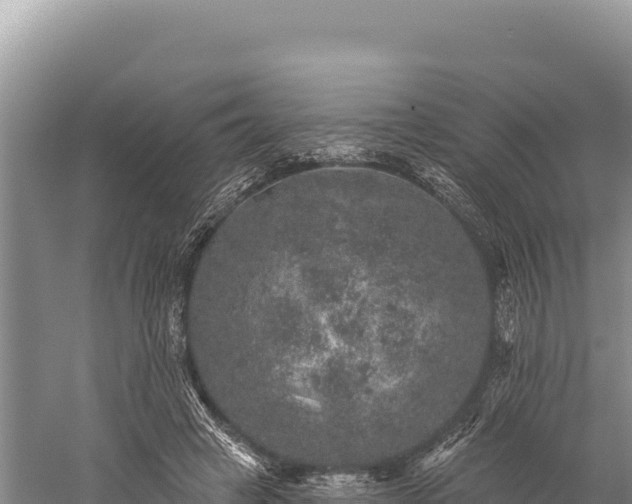 X0000059240449200510211606