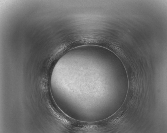 X0000059240450200510211606