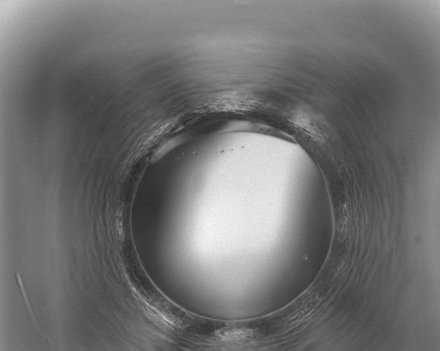 X0000059240452200510211606