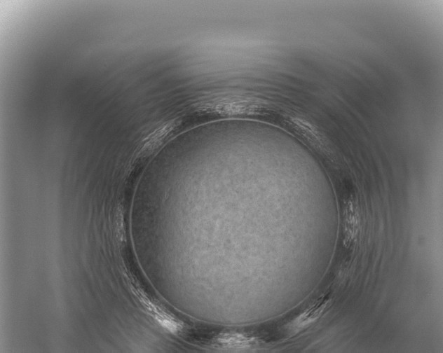 X0000059240453200510211606