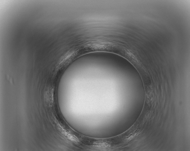 X0000059240454200510211606