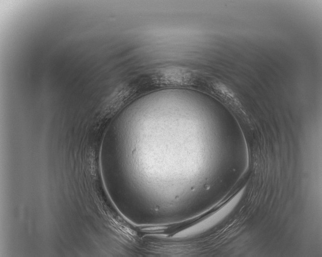 X0000059240457200510211607