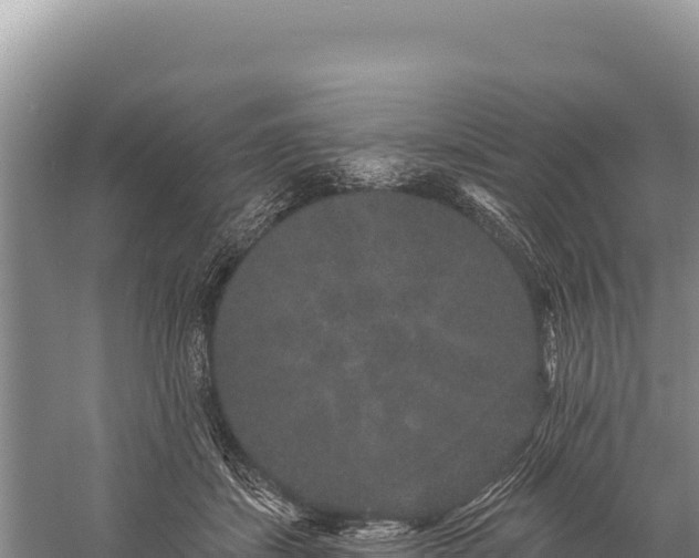 X0000059240459200510211607