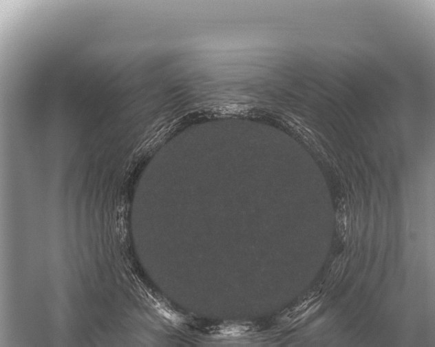 X0000059240462200510211607