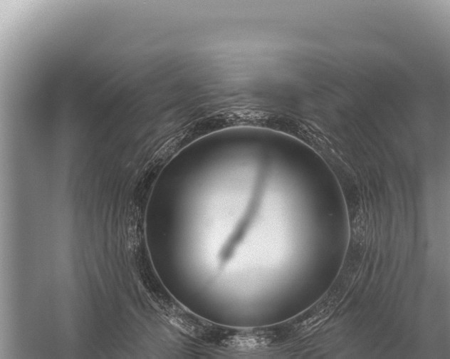 X0000059240464200510211607