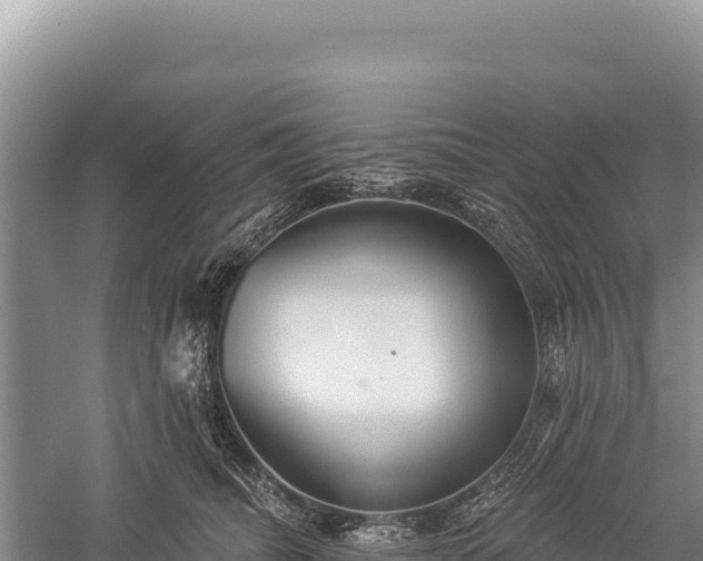 X0000059240468200510211607