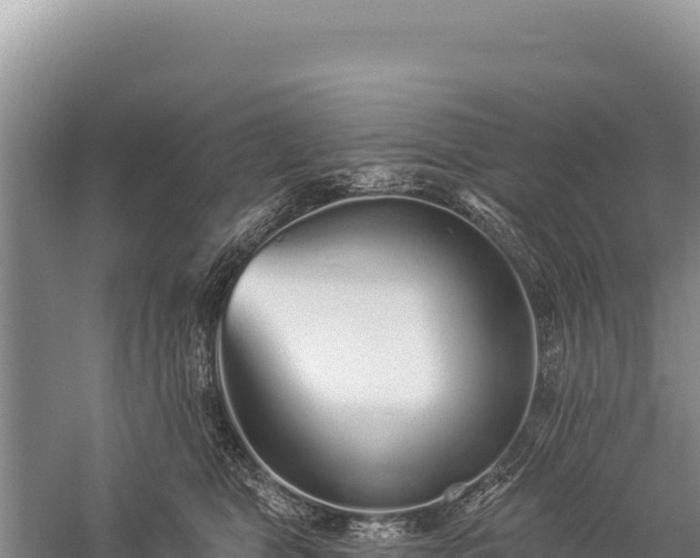 X0000059240469200510211607