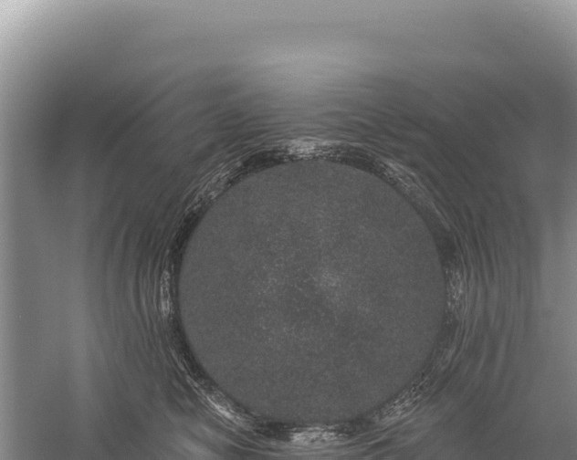 X0000059240470200510211607