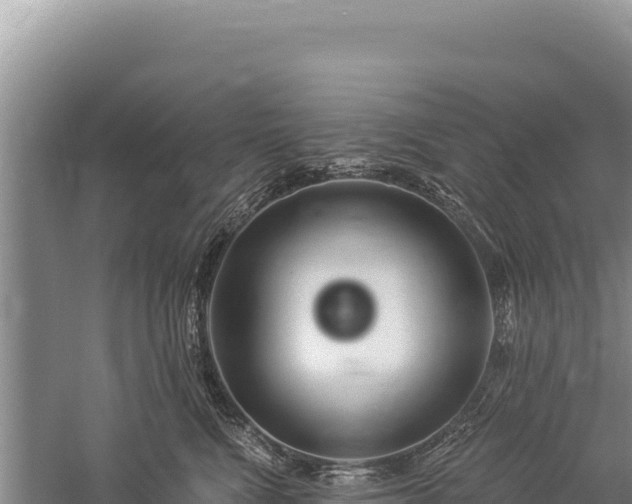 X0000059240472200510211607