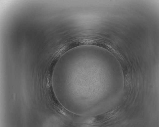 X0000059240474200510211607