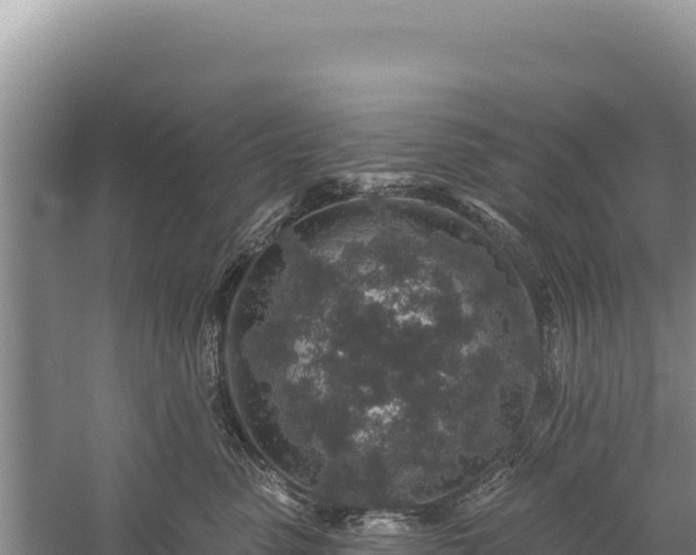 X0000059240475200510211607