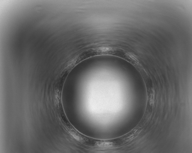 X0000059240476200510211607