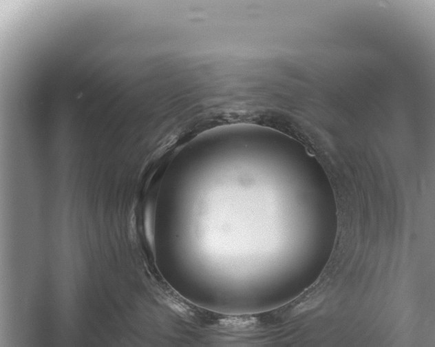 X0000059240480200510211607