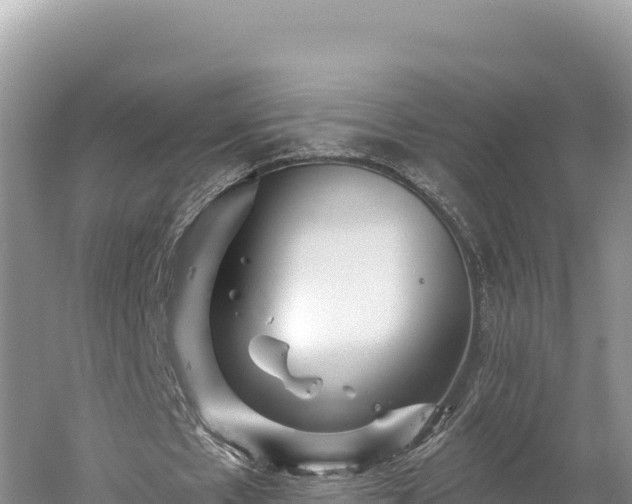 X0000059240481200510211606