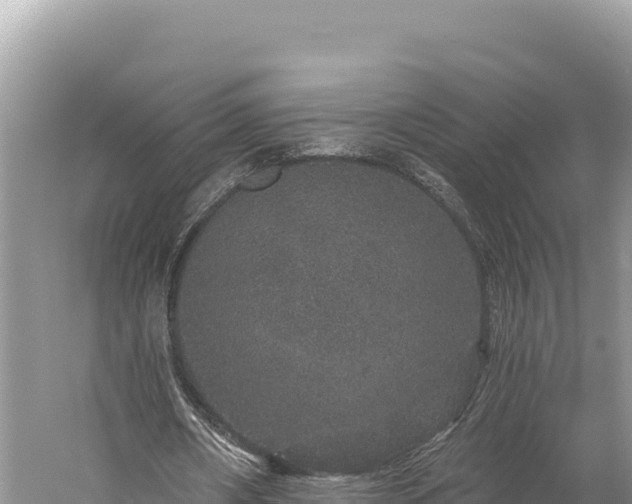 X0000059240482200510211606