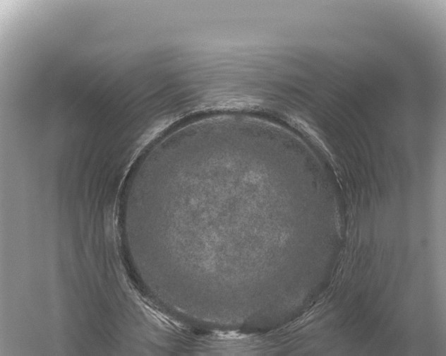 X0000059240483200510211606