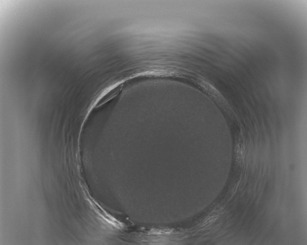 X0000059240484200510211606