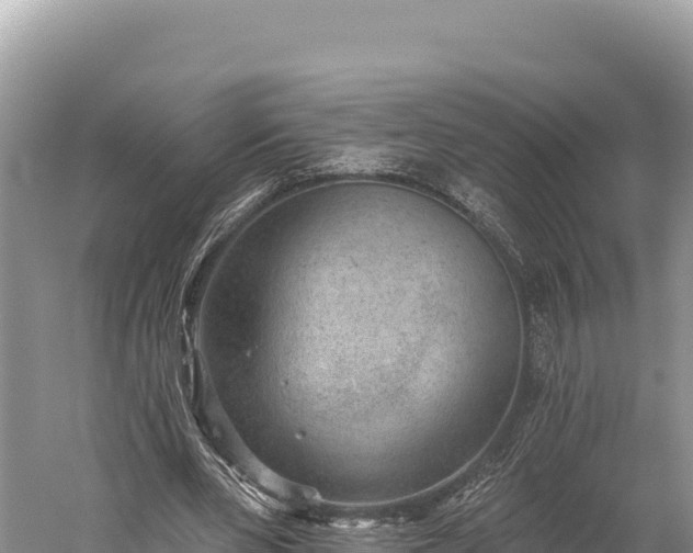 X0000059240486200510211606