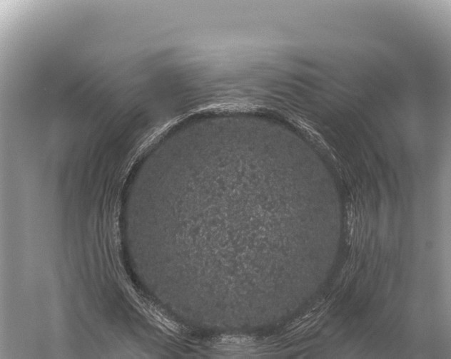 X0000059240487200510211606