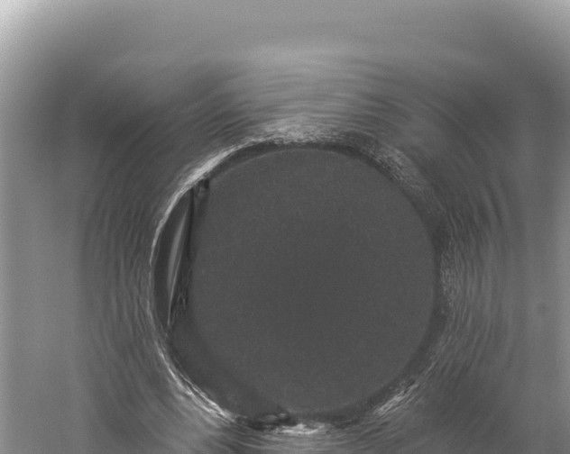 X0000059240488200510211606