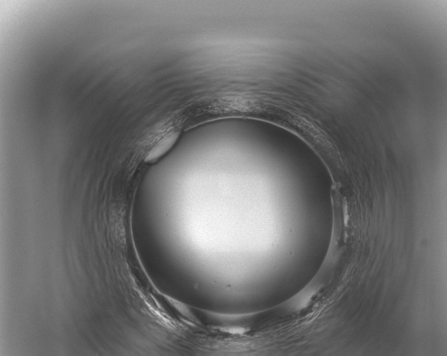 X0000059240489200510211606