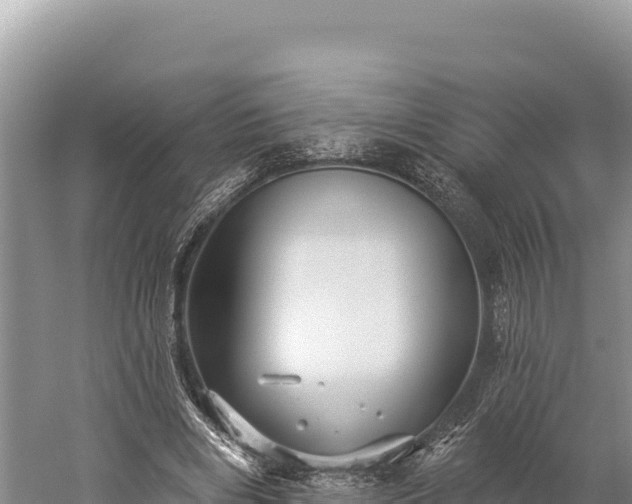 X0000059240490200510211606