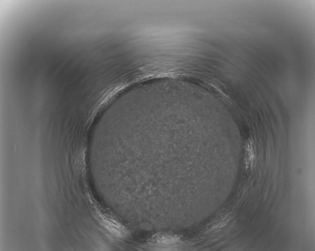 X0000059240491200510211606