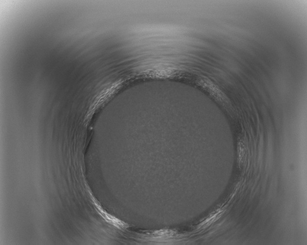 X0000059240493200510211606