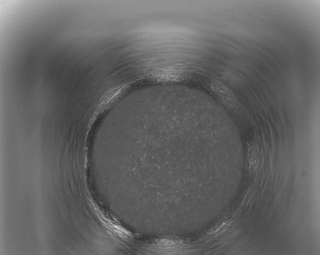 X0000059240494200510211606