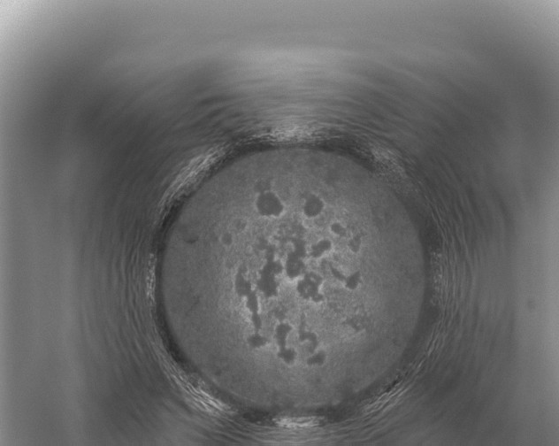 X0000059240495200510211606