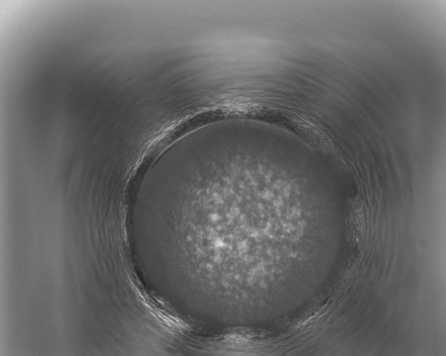 X0000059240496200510211606