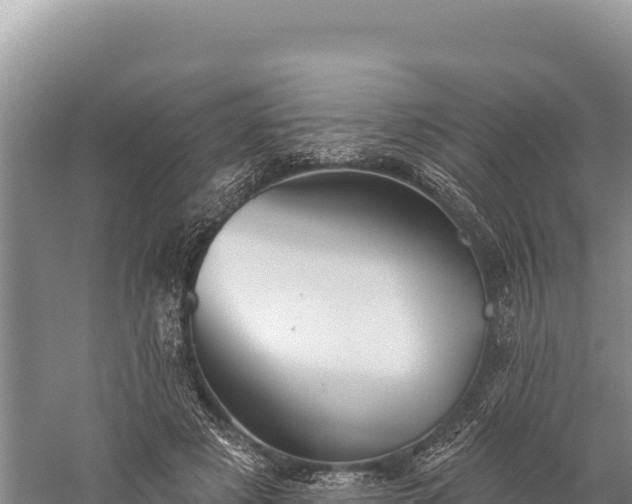 X0000059240497200510211606