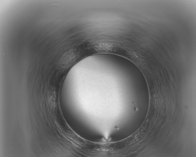 X0000059240498200510211606