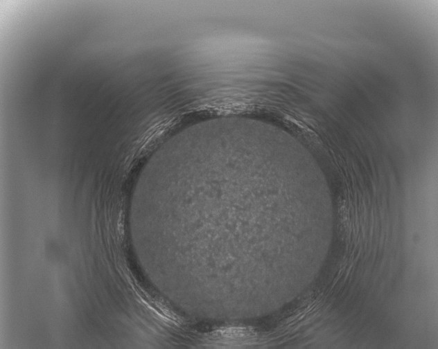 X0000059240499200510211606